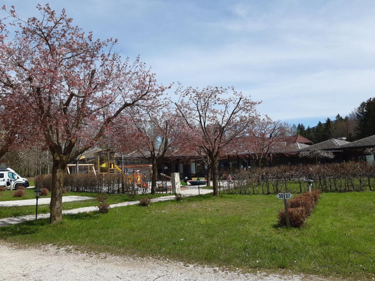 Campingfass Almtal Scharnstein Exterior foto